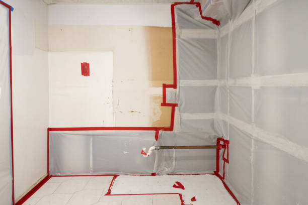 Asbestos and Lead Testing During Mold Inspection in Placitas, NM