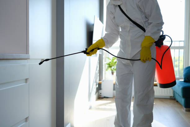 Best Post-Remediation Verification Testing  in Placitas, NM