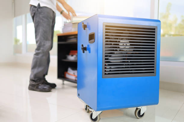 Best Mold Documentation for Insurance Claims  in Placitas, NM