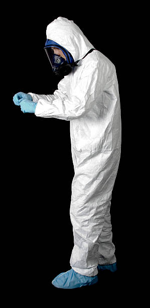 Trusted Placitas, NM Mold Removal Experts